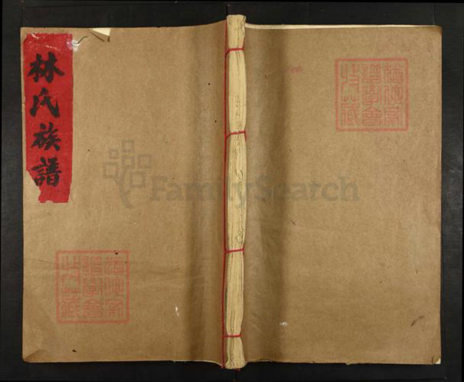 江西省赣州市会昌县林氏西河堂族谱-林氏族谱.pdf电子版插图