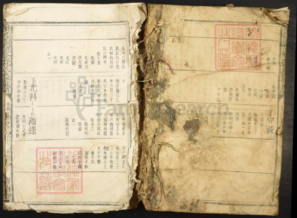 江西省赣州市于都县罗江乡林氏济南堂族谱-雩邑西乡罗家渡林氏迭修族谱.pdf电子版插图