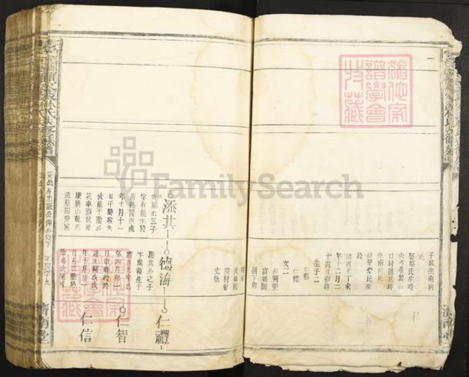 江西省赣州市于都县罗江乡林氏济南堂族谱-雩邑西乡罗家渡林氏迭修族谱.pdf电子版插图5