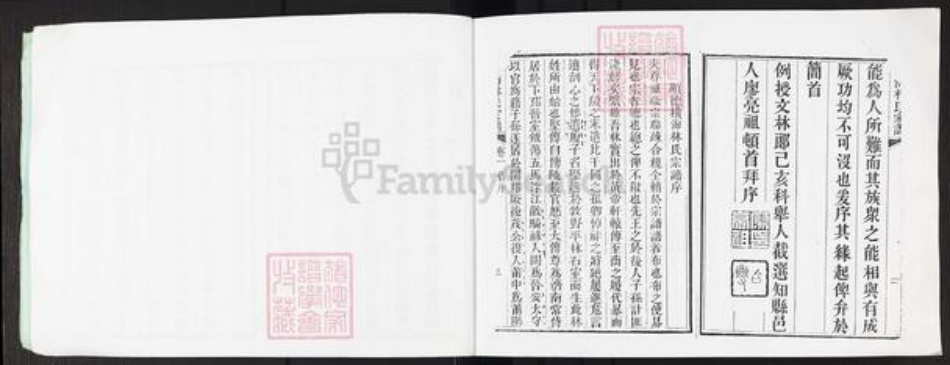 广东省佛山市顺德区林氏族谱-文海林氏家谱.pdf电子版插图3