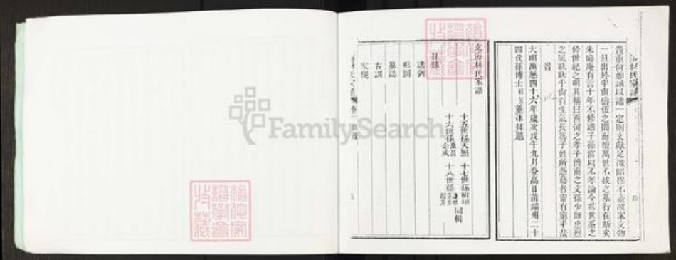 广东省佛山市顺德区林氏族谱-文海林氏家谱.pdf电子版插图5