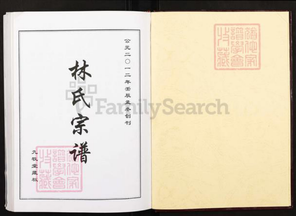 湖北省黄冈市红安县杏花乡林氏九牧堂族谱-林氏宗谱.pdf电子版插图1