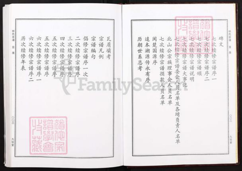 湖北省黄冈市红安县杏花乡林氏九牧堂族谱-林氏宗谱.pdf电子版插图3