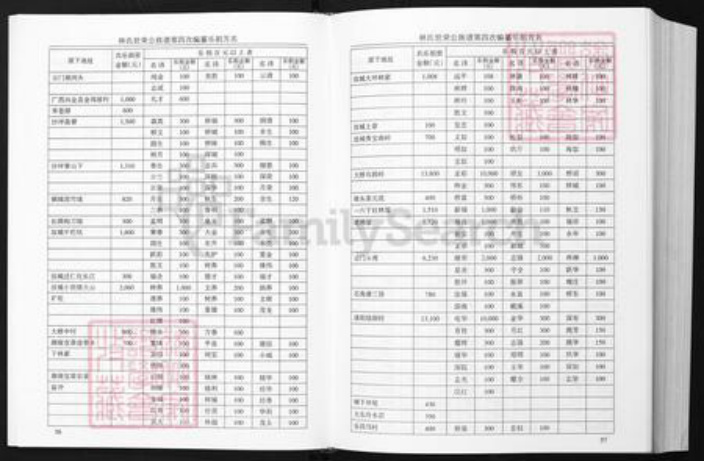 广东省韶关市林氏族谱-林氏族谱.pdf电子版插图1