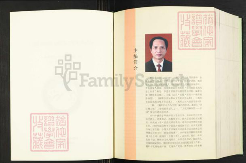 广东省揭阳市揭西县良田乡林氏族谱-揭邑金坑林氏族谱.pdf电子版插图4