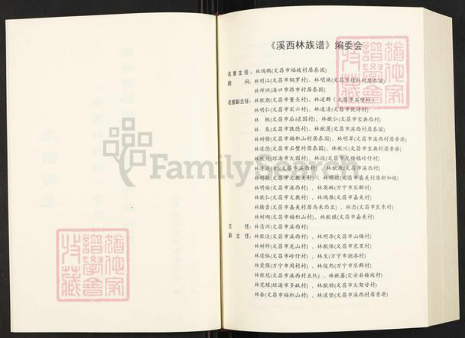 海南省文昌市文教镇林氏族谱-溪西林族谱.pdf电子版插图3