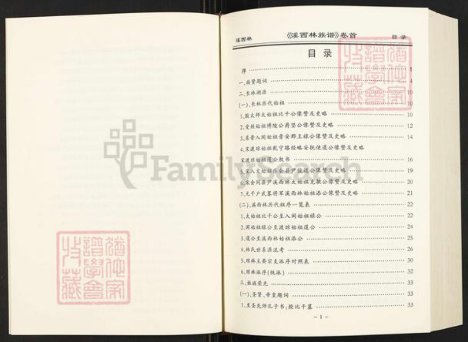 海南省文昌市文教镇林氏族谱-溪西林族谱.pdf电子版插图5