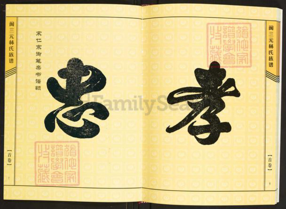 福建省三明市将乐县三元林氏族谱-闽三元林氏族谱.pdf电子版插图5