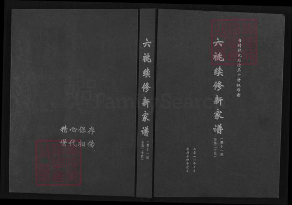 重庆市南岸区林氏族谱-六桃续修新家谱.杏村林氏石境第十世祖后裔.pdf电子版插图