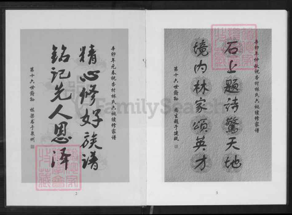 重庆市南岸区林氏族谱-六桃续修新家谱.杏村林氏石境第十世祖后裔.pdf电子版插图2