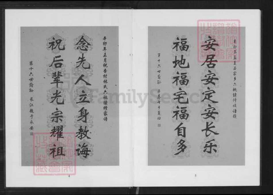 重庆市南岸区林氏族谱-六桃续修新家谱.杏村林氏石境第十世祖后裔.pdf电子版插图3