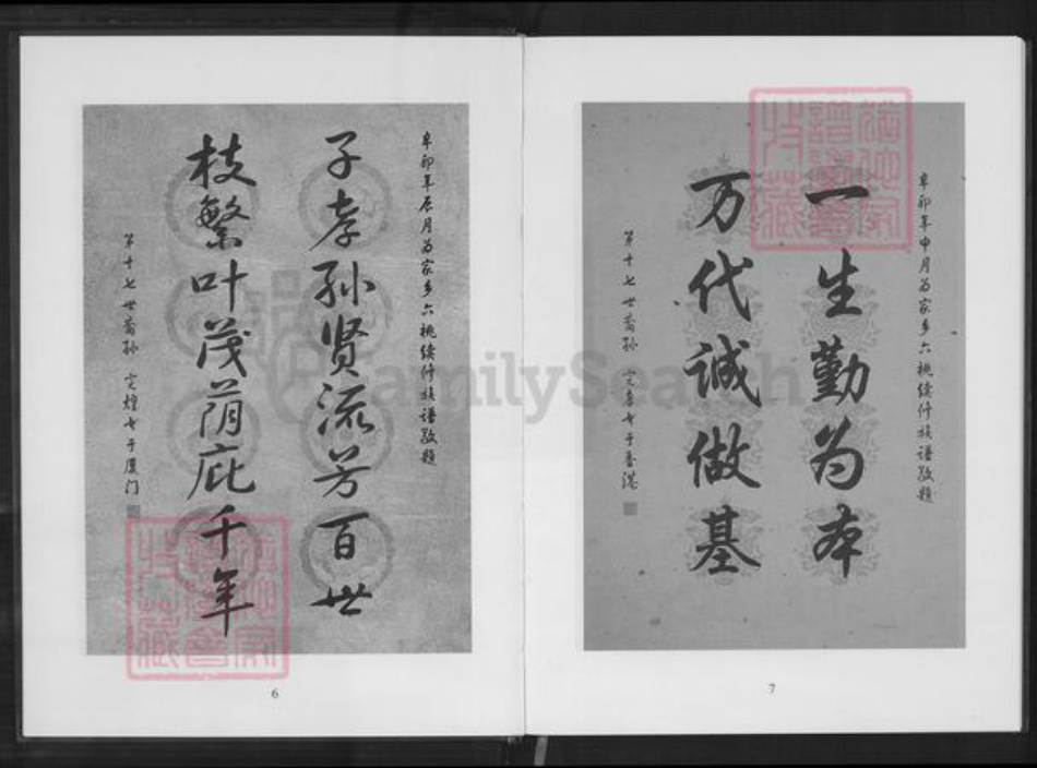 重庆市南岸区林氏族谱-六桃续修新家谱.杏村林氏石境第十世祖后裔.pdf电子版插图4