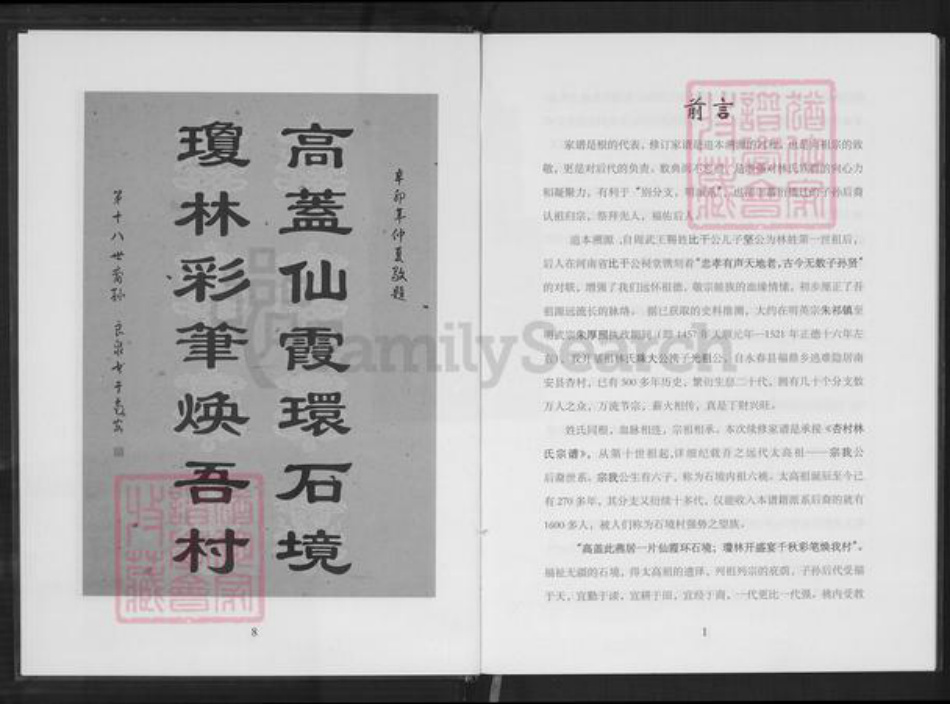 重庆市南岸区林氏族谱-六桃续修新家谱.杏村林氏石境第十世祖后裔.pdf电子版插图5