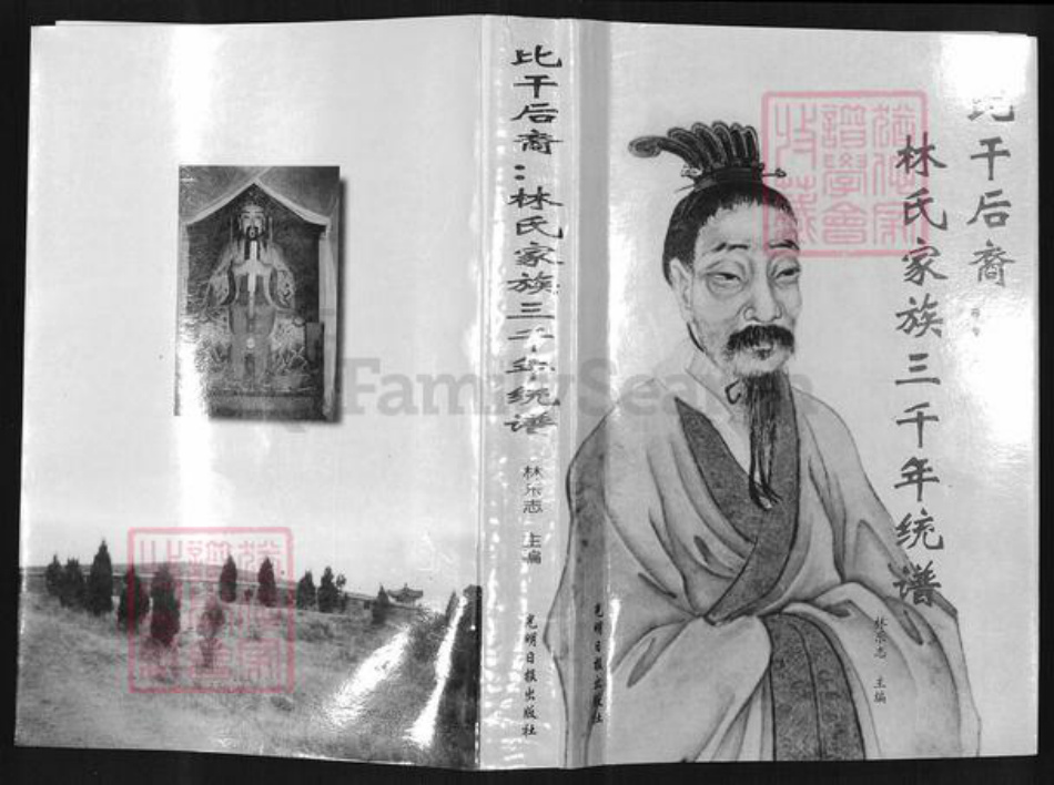 山东省聊城市茌平区林氏族谱-比干后裔: 林氏家族三千年统谱.pdf电子版插图