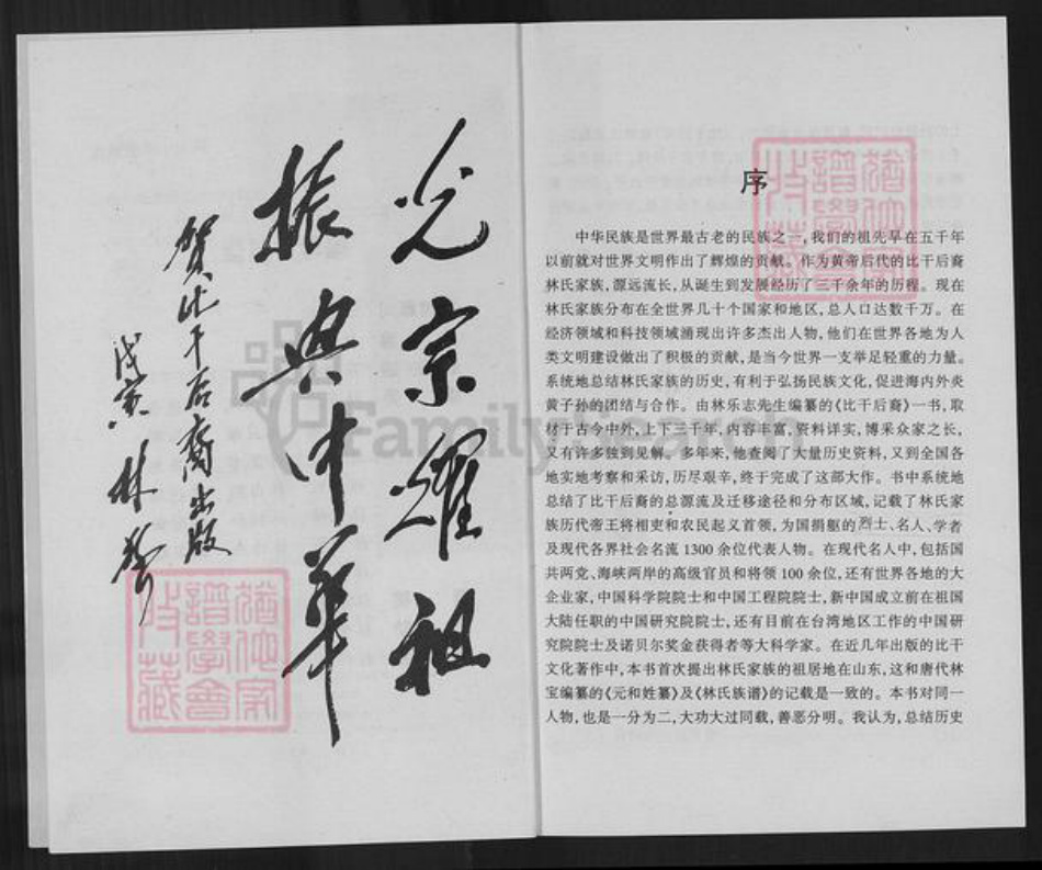 山东省聊城市茌平区林氏族谱-比干后裔: 林氏家族三千年统谱.pdf电子版插图3