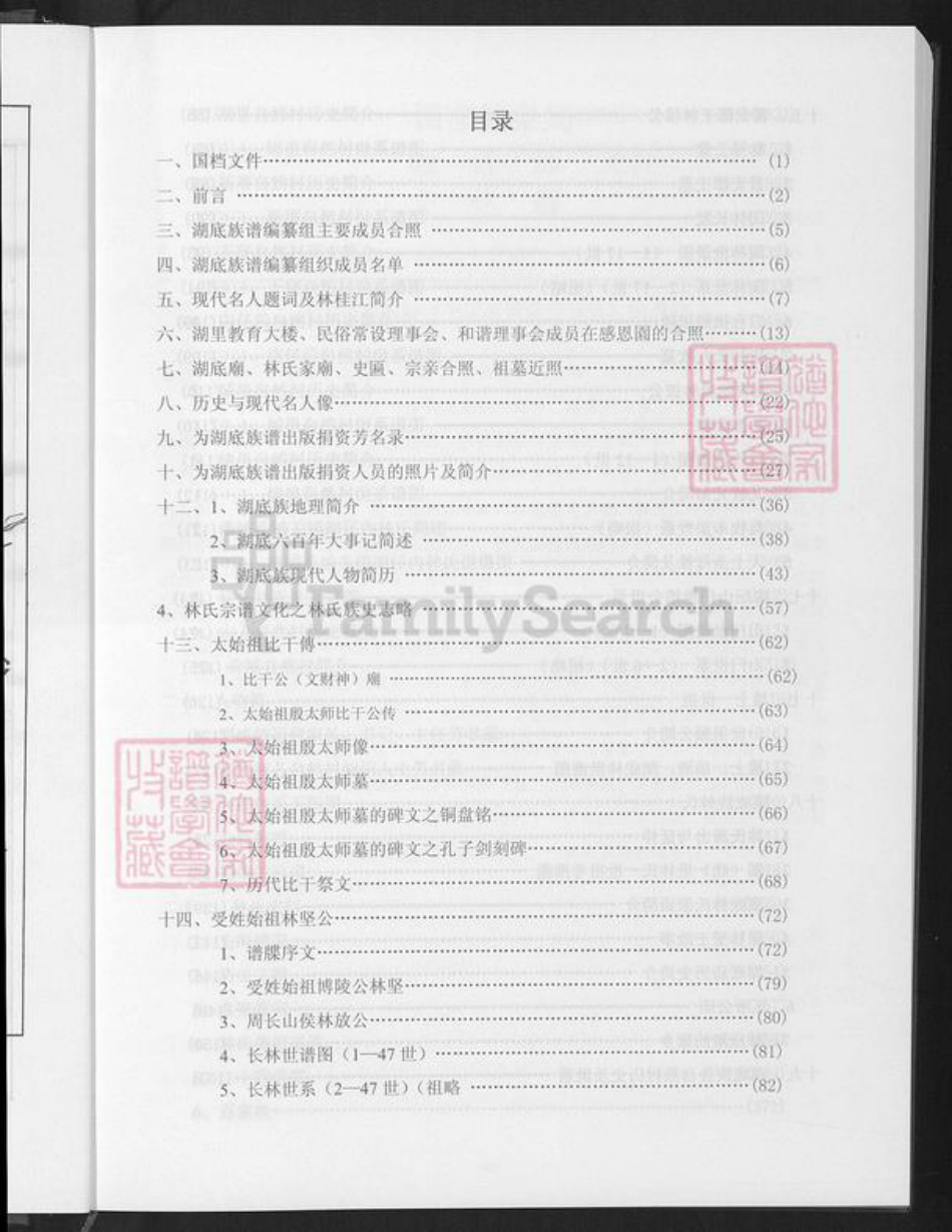 福建省漳州市漳浦县杜浔镇林氏族谱-湖底林氏族谱.pdf电子版插图3