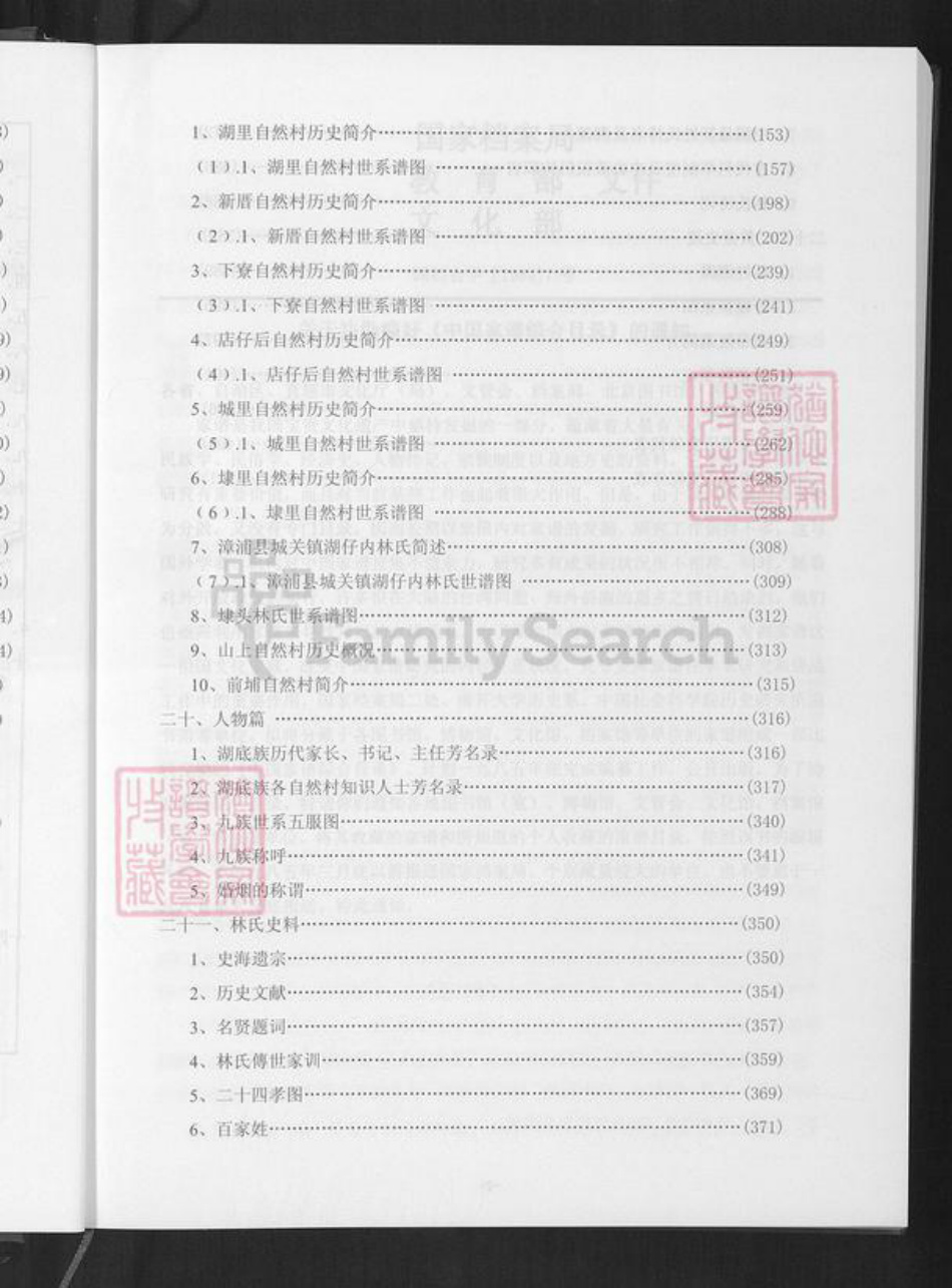 福建省漳州市漳浦县杜浔镇林氏族谱-湖底林氏族谱.pdf电子版插图5