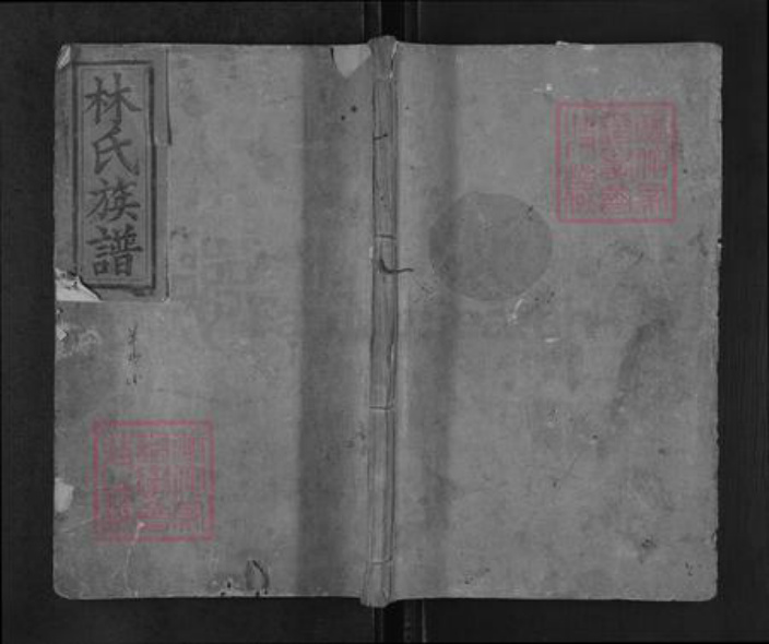 湖南省邵阳市新宁县麻林瑶族乡林氏九牧堂族谱-林氏族谱.pdf电子版插图