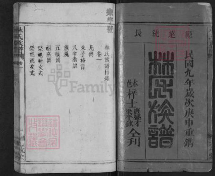 湖南省邵阳市新宁县麻林瑶族乡林氏九牧堂族谱-林氏族谱.pdf电子版插图1