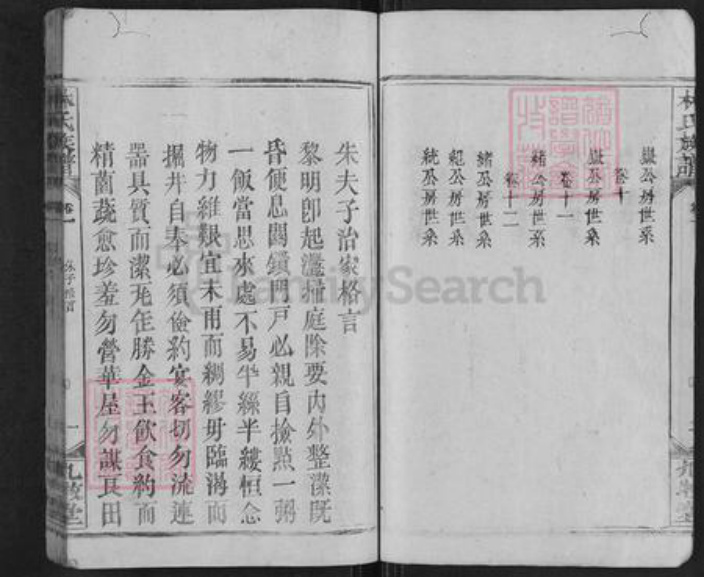 湖南省邵阳市新宁县麻林瑶族乡林氏九牧堂族谱-林氏族谱.pdf电子版插图3
