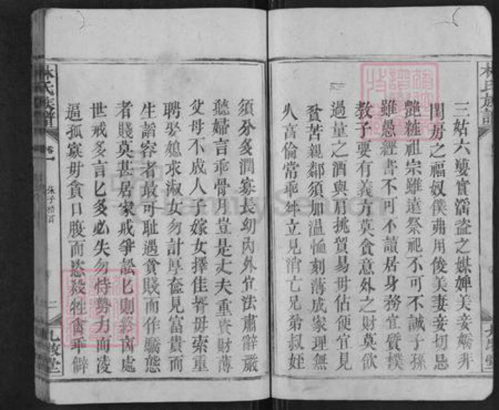 湖南省邵阳市新宁县麻林瑶族乡林氏九牧堂族谱-林氏族谱.pdf电子版插图4
