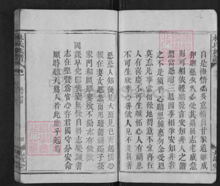 湖南省邵阳市新宁县麻林瑶族乡林氏九牧堂族谱-林氏族谱.pdf电子版插图5