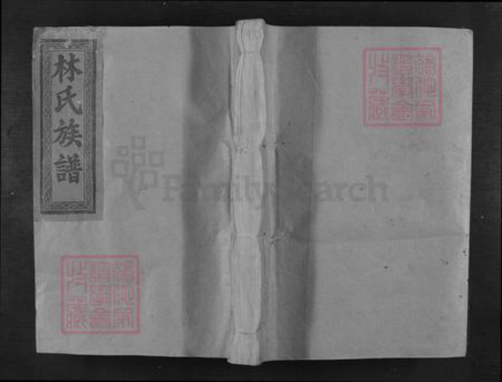 江西省抚州市乐安县增田镇林氏族谱-西河林氏族谱.pdf电子版插图 江西省抚州市乐安县增田镇林氏族谱-西河林氏族谱.pdf电子版插图