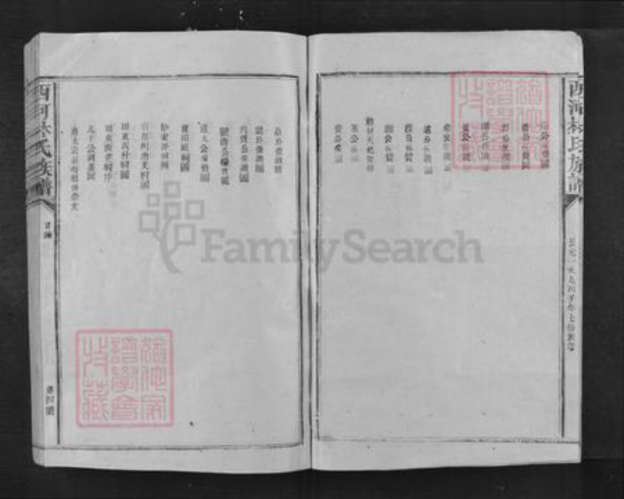 江西省抚州市乐安县增田镇林氏族谱-西河林氏族谱.pdf电子版插图3 江西省抚州市乐安县增田镇林氏族谱-西河林氏族谱.pdf电子版插图3