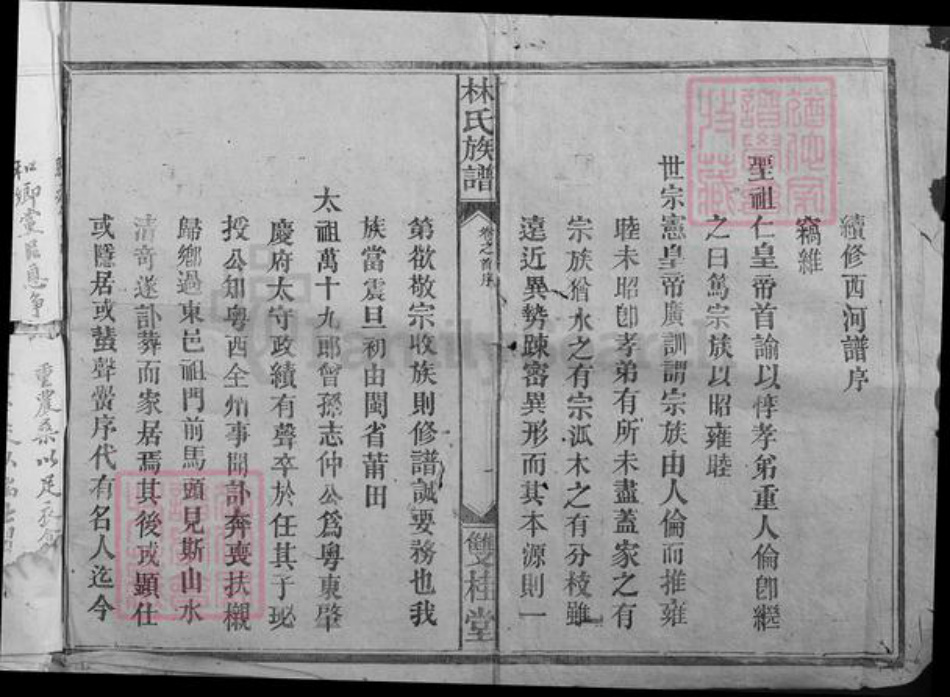 湖南省株洲市醴陵市泗汾镇林氏双桂堂族谱-林氏族谱.pdf电子版插图2