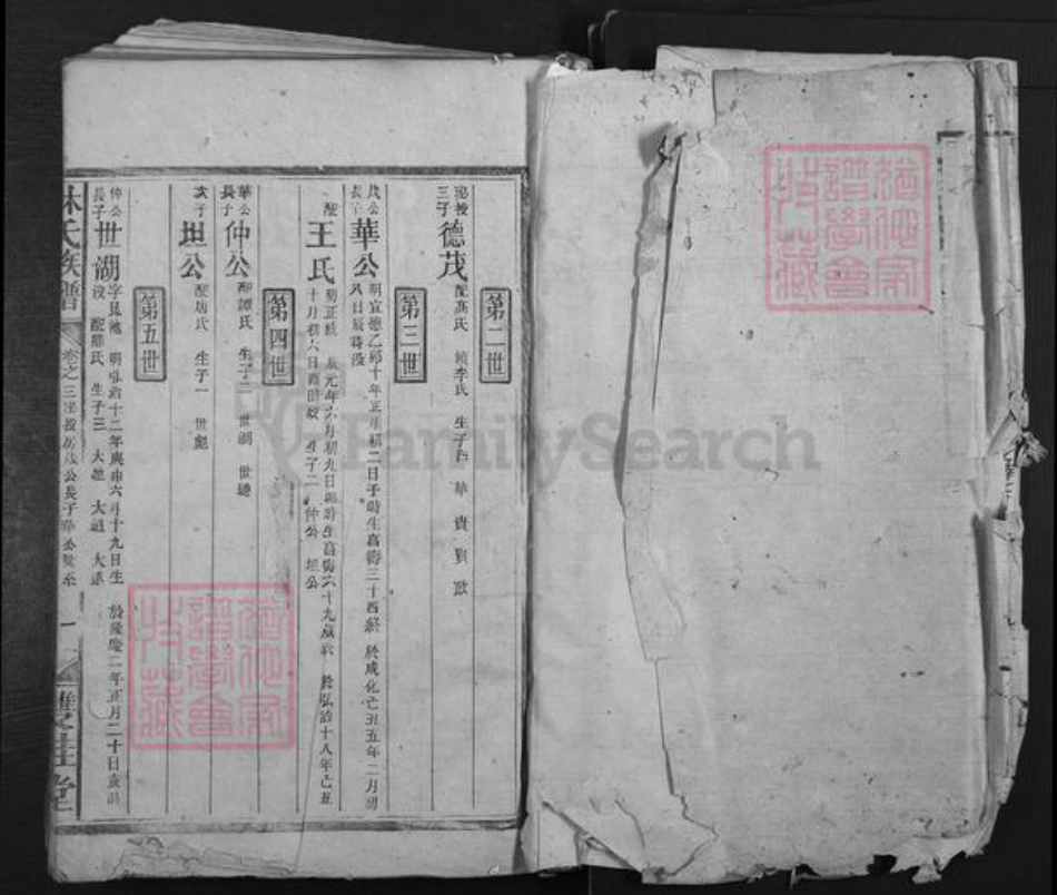 湖南省株洲市醴陵市泗汾镇林氏双桂堂族谱-林氏族谱.pdf电子版插图3