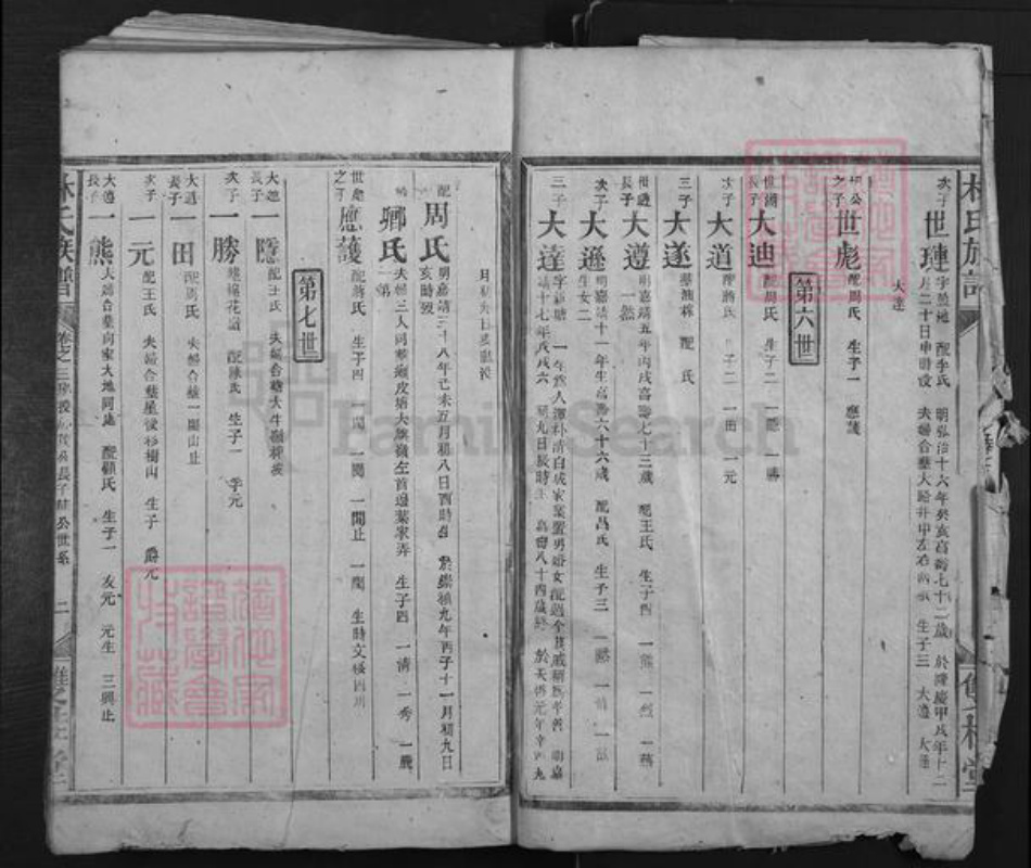 湖南省株洲市醴陵市泗汾镇林氏双桂堂族谱-林氏族谱.pdf电子版插图4