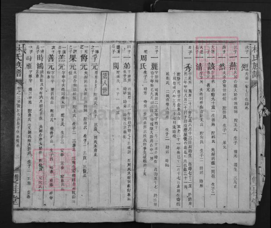 湖南省株洲市醴陵市泗汾镇林氏双桂堂族谱-林氏族谱.pdf电子版插图5