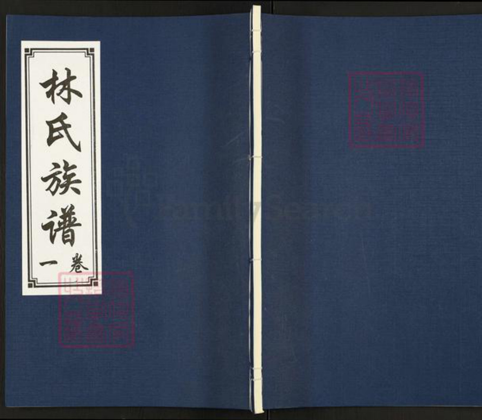 山东省济宁市汶上县汶上街道林氏问礼堂族谱-林氏族谱.pdf电子版