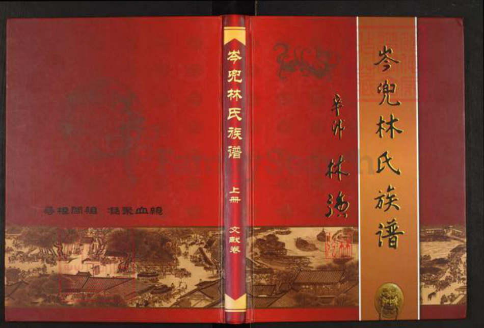 福建省福州市福清市海口镇林氏族谱-岑兜林氏族谱.pdf电子版
