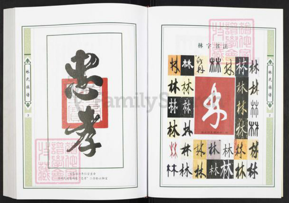 广东省揭阳市榕城区林氏世德堂族谱-上义和林氏族谱.敦贤公房.pdf电子版插图3