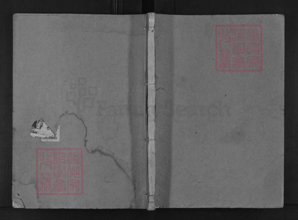 浙江省金华市婺城区林氏敦本堂族谱-西河林氏宗谱.pdf电子版