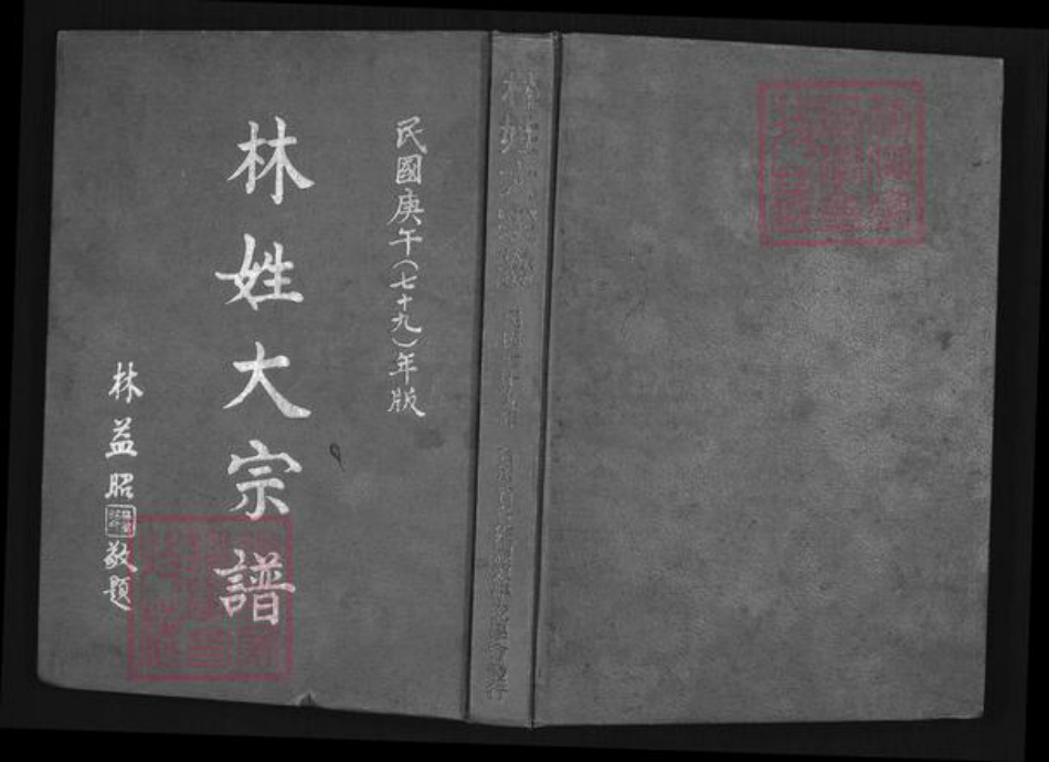 广东省潮州市饶平县饶洋镇林氏族谱-林姓大宗谱.pdf电子版