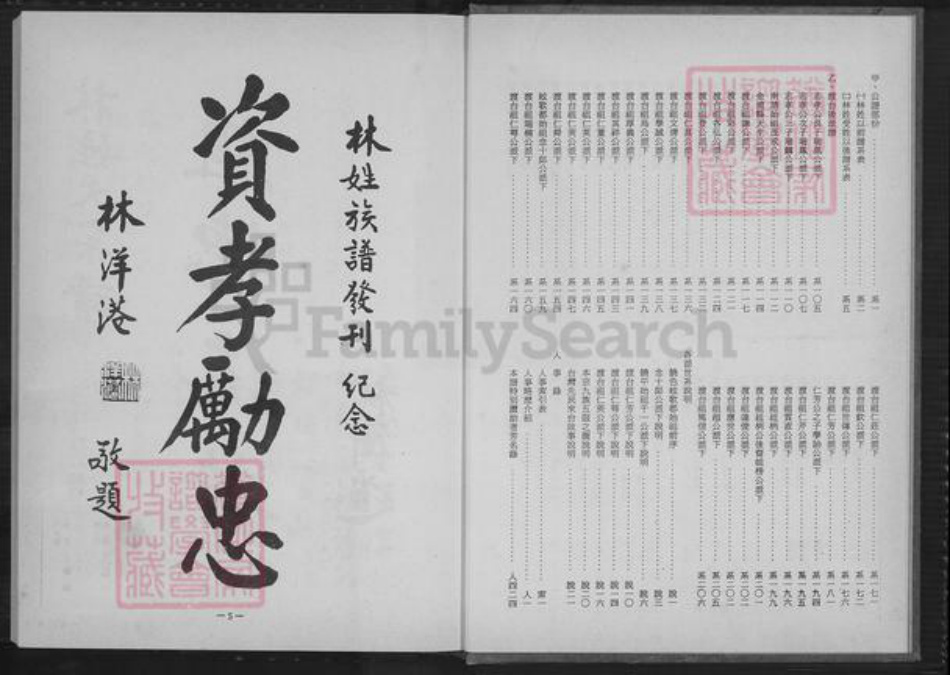 广东省潮州市饶平县饶洋镇林氏族谱-林姓大宗谱.pdf电子版插图4