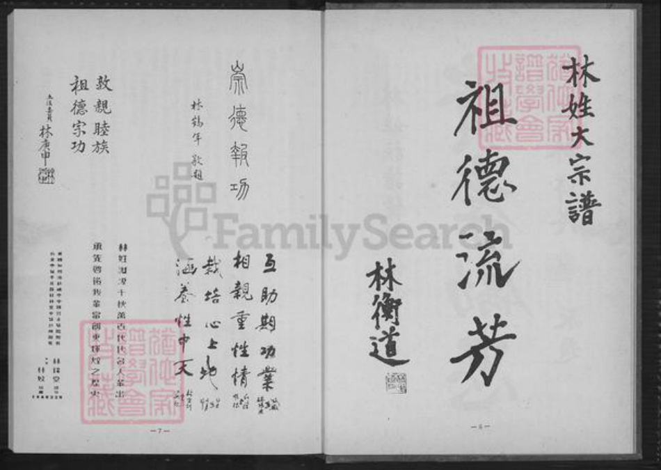 广东省潮州市饶平县饶洋镇林氏族谱-林姓大宗谱.pdf电子版插图5