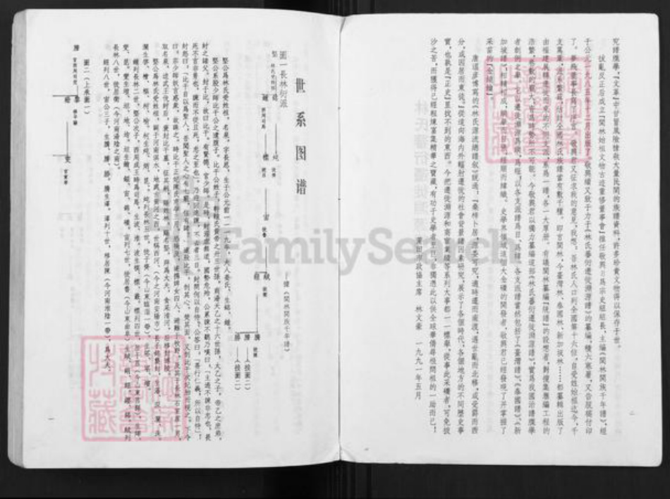 福建省福建省林氏族谱-林氏蕃衍迁徙渊源谱.pdf电子版插图4 福建省福建省林氏族谱-林氏蕃衍迁徙渊源谱.pdf电子版插图4