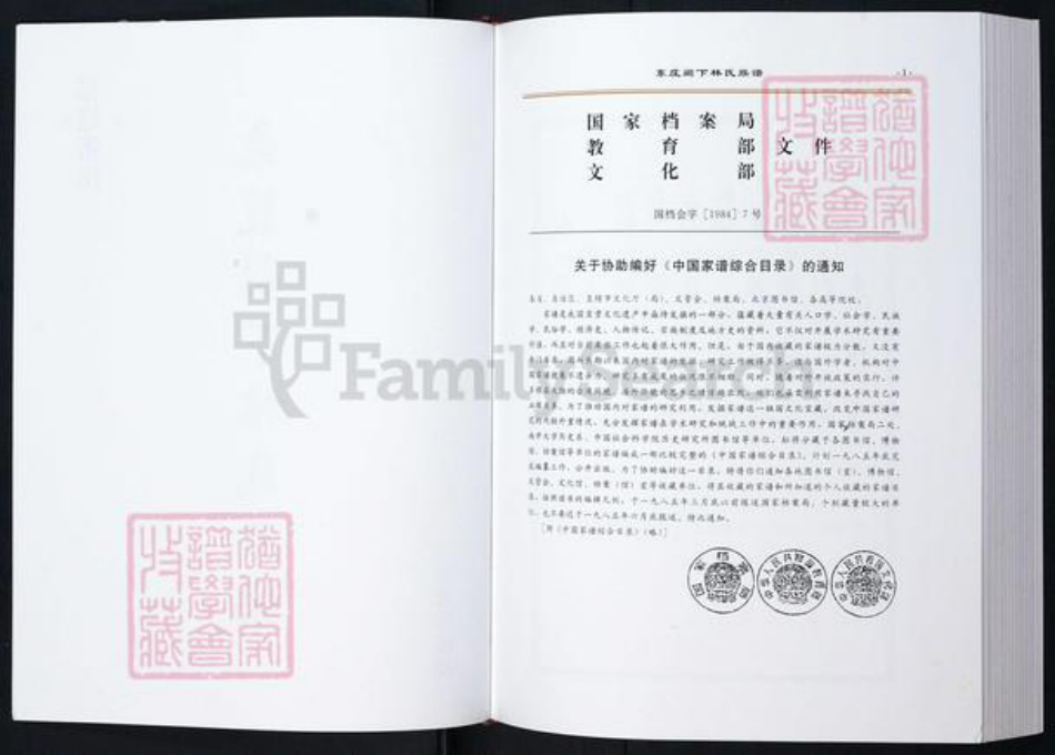 福建省莆田市林氏族谱-东庄阙下林氏族谱.pdf电子版插图2