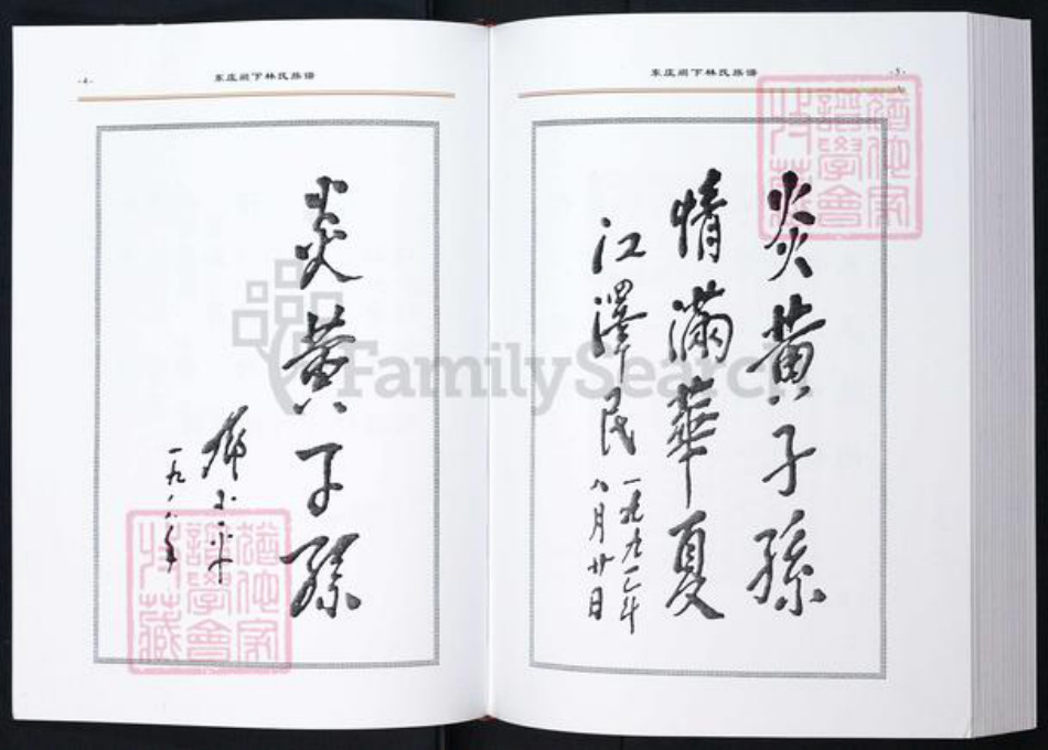 福建省莆田市林氏族谱-东庄阙下林氏族谱.pdf电子版插图4