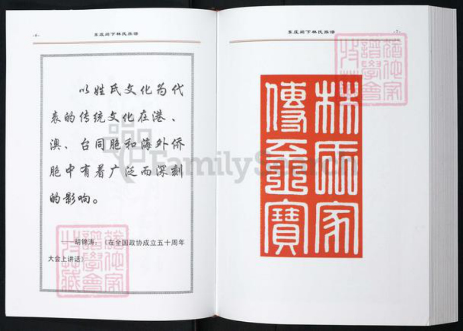 福建省莆田市林氏族谱-东庄阙下林氏族谱.pdf电子版插图5