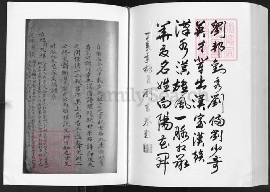 河南省郑州市新郑市和庄镇刘氏族谱-刘氏宗谱.pdf电子版插图5