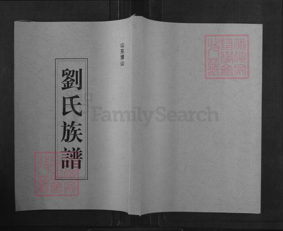 山东省淄博市博山区刘氏族谱-刘氏族谱.博山支系.pdf电子版