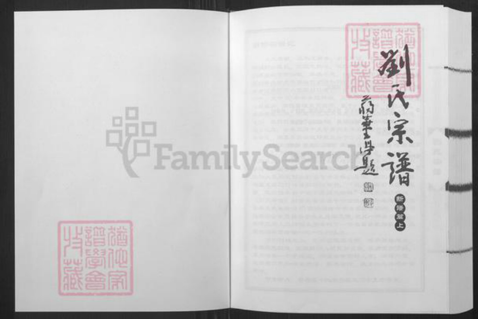 山东省潍坊市青州市弥河镇刘氏族谱-刘氏宗谱.pdf电子版插图1