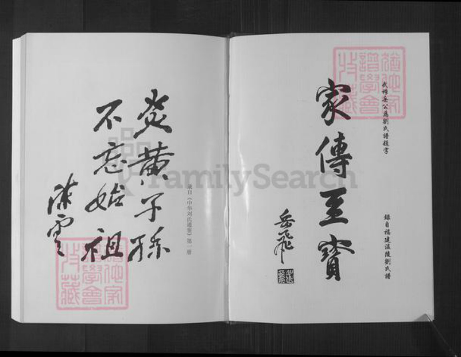 江苏省徐州市沛县刘氏汉祚堂族谱-中华刘氏统宗世谱.齐悼惠王.肥公大系.pdf电子版插图2