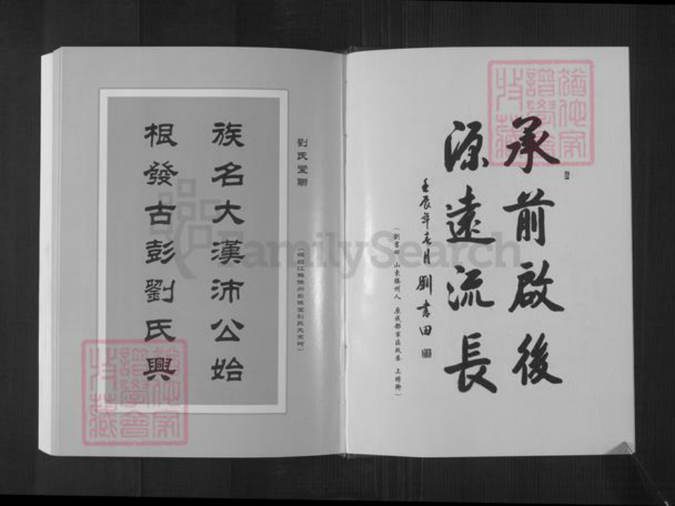 江苏省徐州市沛县刘氏汉祚堂族谱-中华刘氏统宗世谱.齐悼惠王.肥公大系.pdf电子版插图3