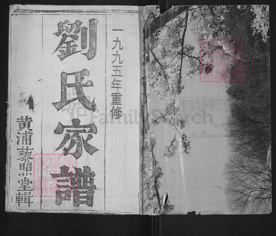 江苏省盐城市响水县运河镇刘氏藜照堂族谱-刘氏家谱.pdf电子版插图1 江苏省盐城市响水县运河镇刘氏藜照堂族谱-刘氏家谱.pdf电子版插图1