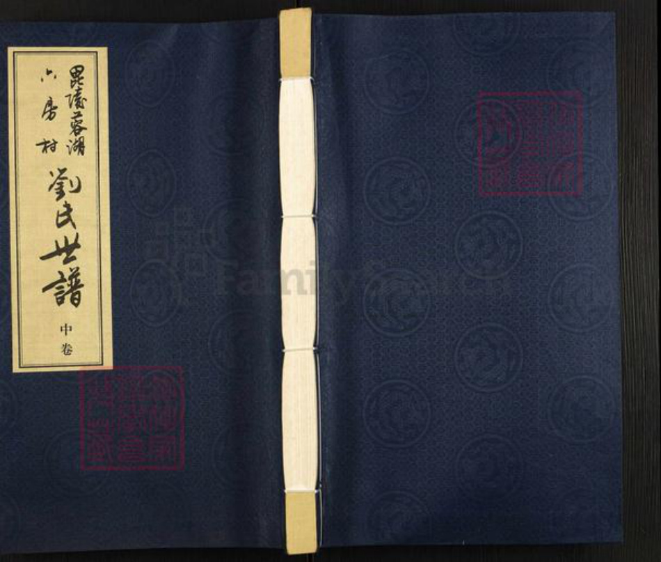 江苏省常州市武进县刘氏佩三堂族谱-毘陵蓉湖六房村刘氏世谱.pdf电子版